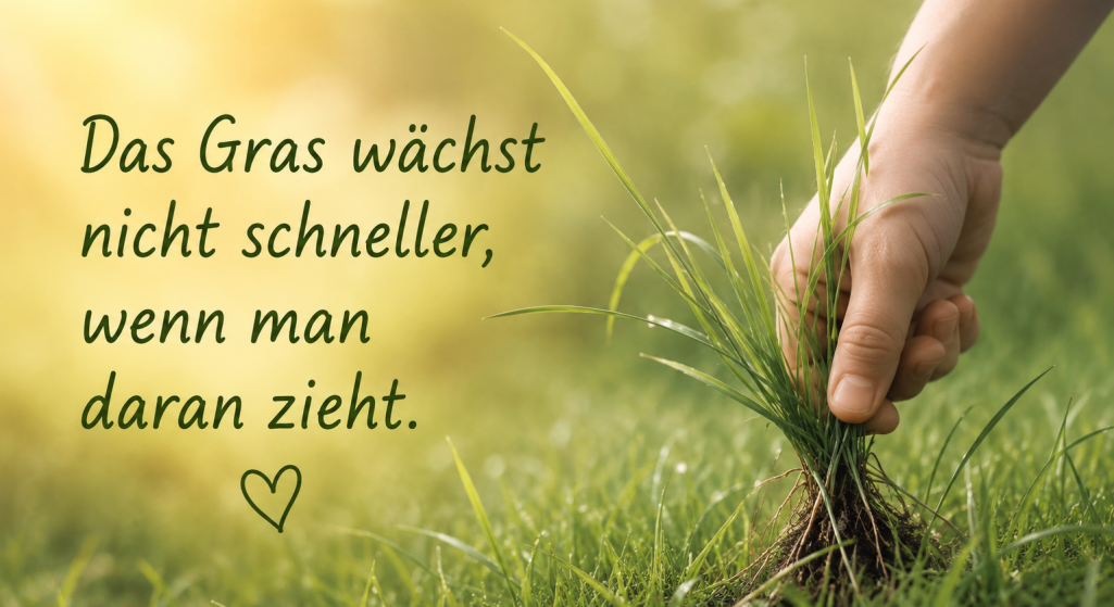 Bild mit Gras